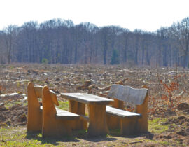 Sitzgruppe im Wald