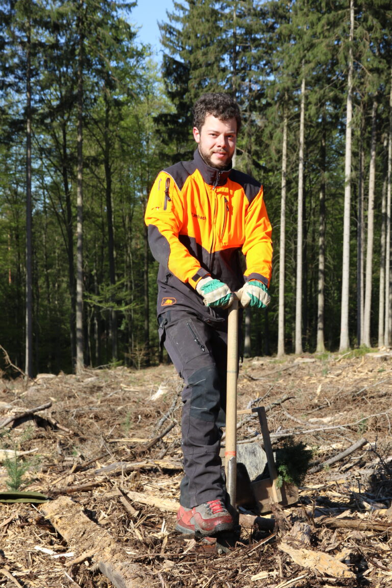 Waldarbeiter beim schaufeln