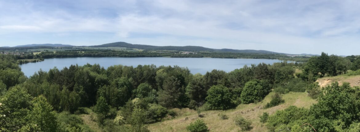 Blick auf Wald und See