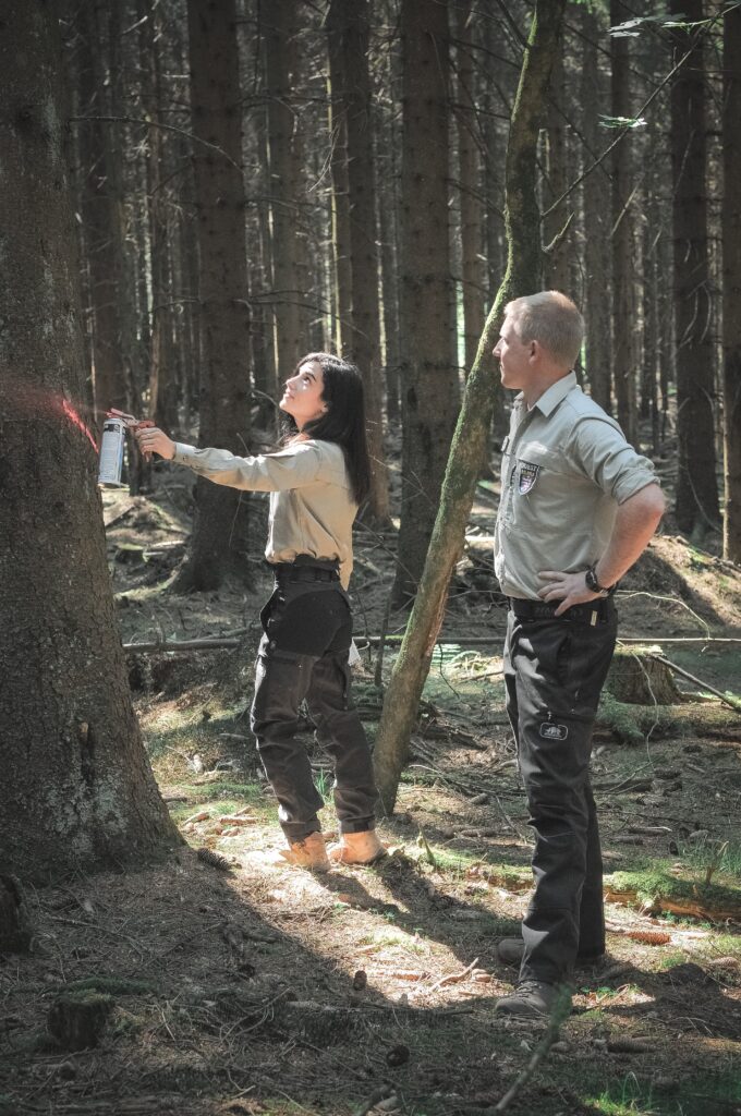 Waldarbeiter im Wald